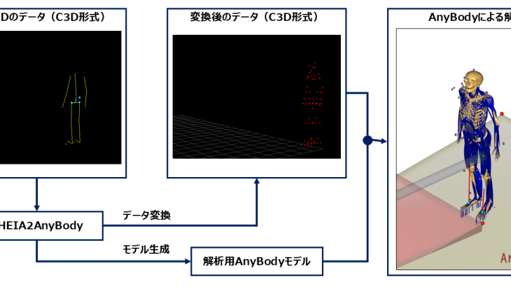 Theia3Dのデータを使用したAnyBodyによる筋骨格モデル解析